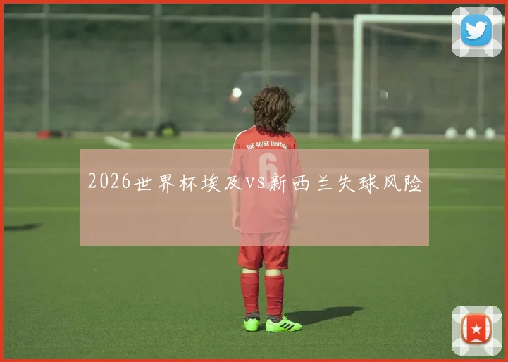 2026世界杯埃及vs新西兰失球风险