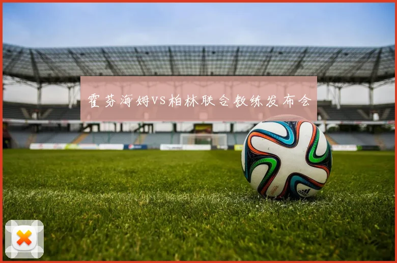 霍芬海姆vs柏林联合教练发布会